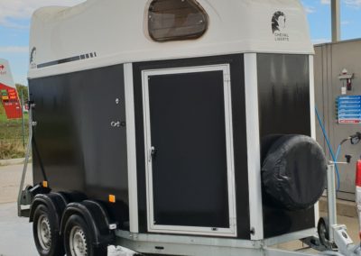 Van 2 places occasion Cheval Liberté